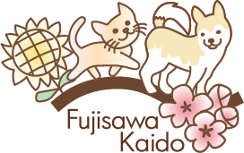 ふじさわ街道動物病院