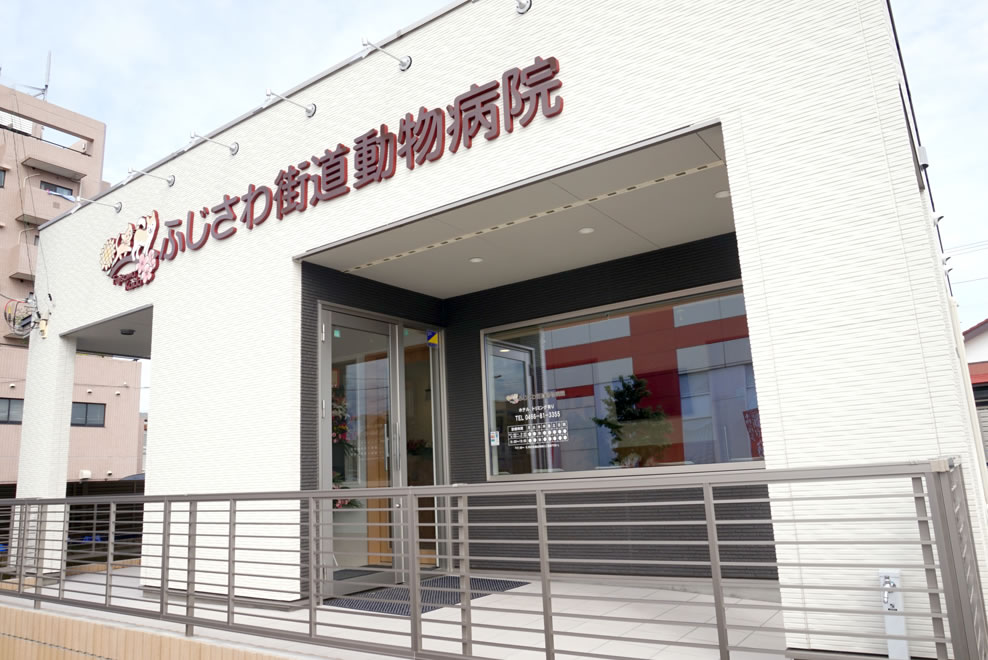 外観